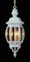 Trans Globe 4066 SWI - Parsons 3-Light Traditional French-inspired Outdoor Hanging Lantern Pendant with Chain
